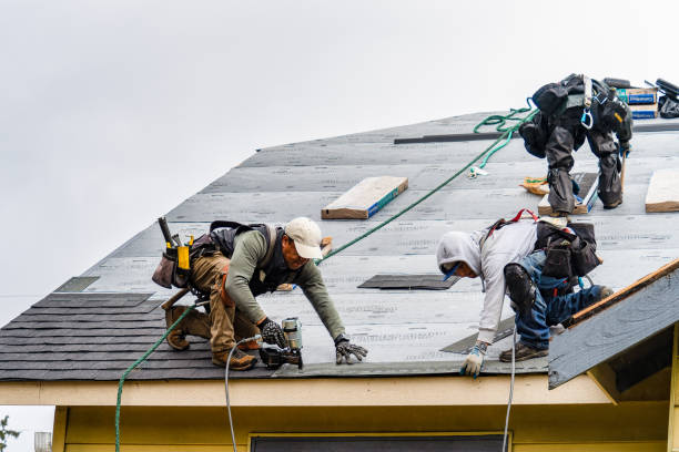 Professional Roofing technician working in Forest, VA